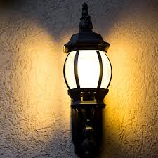 Transform Your Outdoor Space with Professional Landscape Lighting