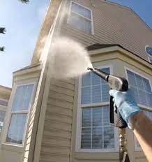 Professional Power Washing in Los Angeles